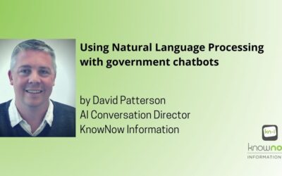 Natural Language Understanding and Government Chatbots
