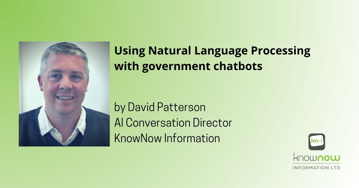 Natural Language Processing for Government Chatbots