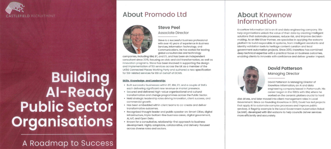Brochure from Building AI-Ready Public Sector Organisations